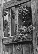 Flowers on Door by Barbara Smith