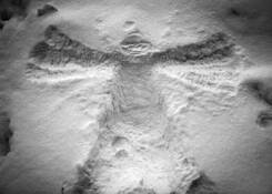 Snow Angel by Bill Bain