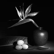 Maternal Instincts by Gordon Ownby