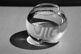 No Goldfish by Scott Carlin