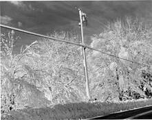 White by Robert Ivano