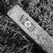 Untitled 3 by Robert Jones