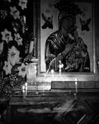 Reflections by Robert Schwiebert