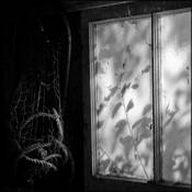 Fishnet by Ron Draxler