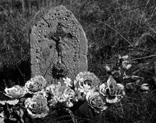 Mourning Flowers by Rudolph De Ram