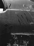 Pointiac by Joel Henning