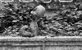 Shoot the Freaks by John R. Ziemba