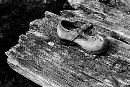 Lost Shoe by John D. Wilkins