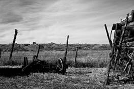 Countryside by Joshua Steven Lasinski