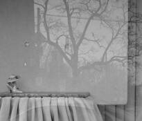 Store Window by Kathryn Short