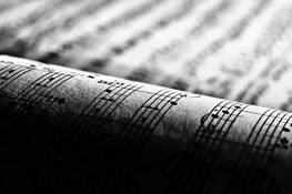 Too Many Notes by Dave Wood