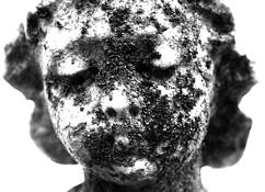 Donovan by Nadia Adams