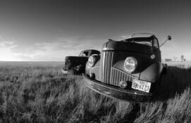 Untitled 12 by Paul Sokal