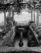 Secret Garden by Peter Roth