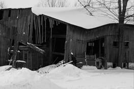 Curve of Years by Seyda Deligonul