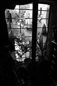 Window Frame by Sophie Abbott