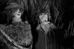 Scarecrows Retreat by Stephen Hodgetts