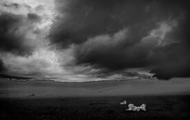 Storm Over the Ngorogoro Crater by Albert Zabin
