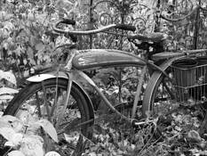 Abandoned Bike by Susan B. Griffith