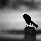 Remembrance by Byong-Ho Kim