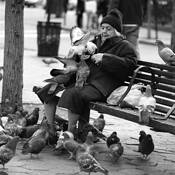 Pigeon Lady by John Brueske