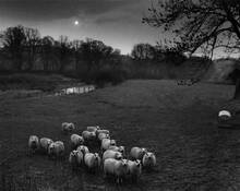 Towards Evening by Steven Hopkins