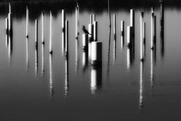 Sunning by Dennis Fritsche