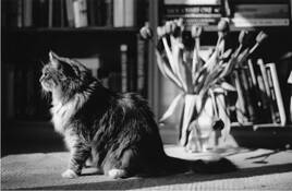 Twiggs by Edwin George Close II