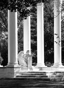 Guardian Angel by Kim A. Holz