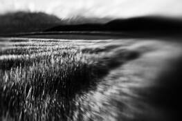 Fields 2 by Aaron Marko