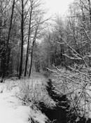 Untitled 2 by Andre Roman Medina