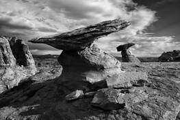 Studhorse Point 1 by Ari Plosker