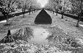 Stick Out Your Tongue by Bill Sinkovich