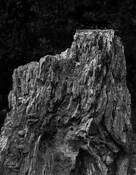 Untitled 1 by Bob Johnson