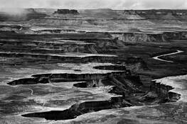 The White Rim - Canyonlands by Carolyn Guild