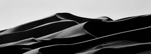 Whispering Dunes - No. 1 by Carolyn Guild