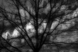 White Cliffs by Charles F. Mason