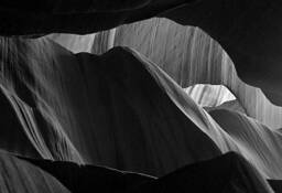 Antelope 05 by Charlie Ross