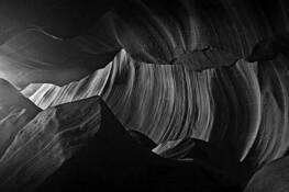 Antelope 15 by Charlie Ross