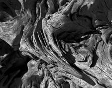 Cross Currents by Charlie Ross