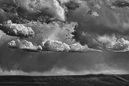 Fenceline by Daniel Ruf