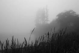 Whiffin Spit by Tara Wood