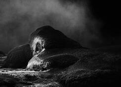 Whakarewarewa 01 by Willem Bannink