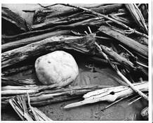 Cresent Lake by William L. Thomas