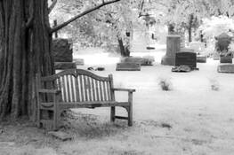 Resting Place by Kim A. Holz