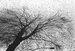 Untitled 8 by Yoshinori Tanaka