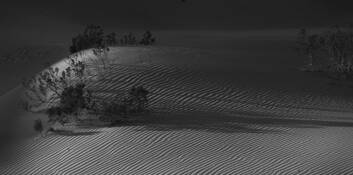 Untitled 4 - Sand Dunes by Youngsook Chung Zhang