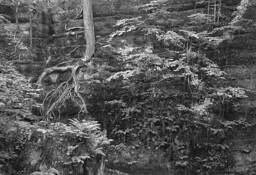 Nelson's Ledges by Robert S. Finkelhor