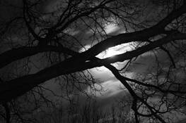 Moon Light by Ryan Hanley