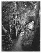 Gateless Gate #4 by Michael Miner